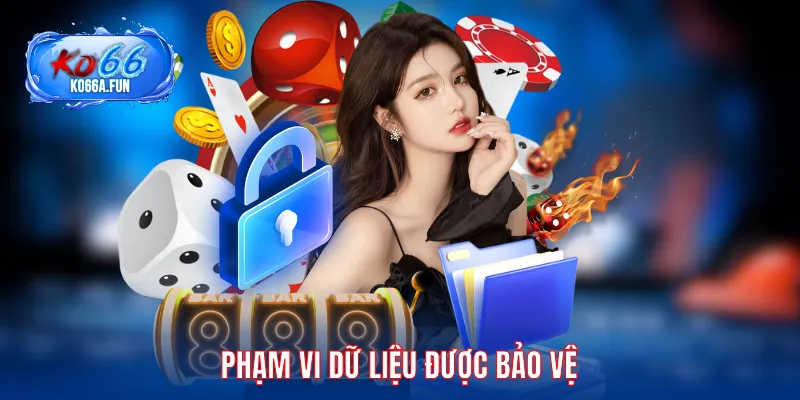 Phạm vi thông tin 100% được bảo vệ trong chính sách bảo mật